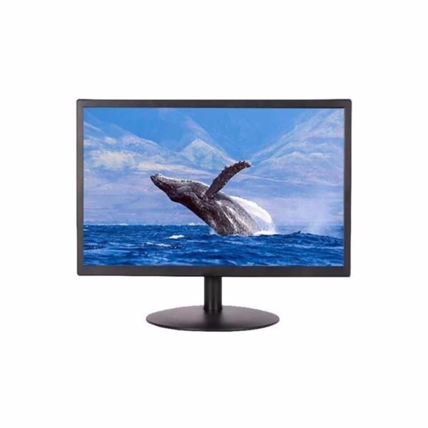 64afaf0f053ef 64afaf0f0c5f0.jpg