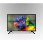 64b8e7c5406cf 64b8e7c546d8f 1 1.jpeg