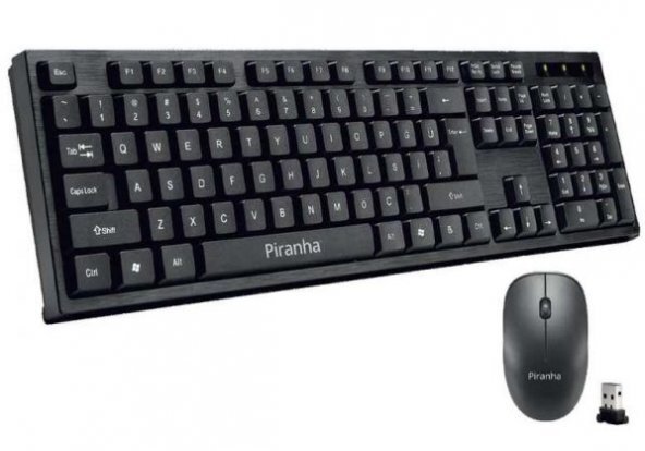 6513ddb72f00a 6513ddb73bc8f 1.jpg