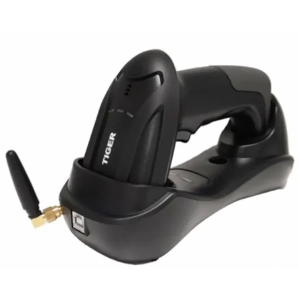 CO240PER0005 57431.webp